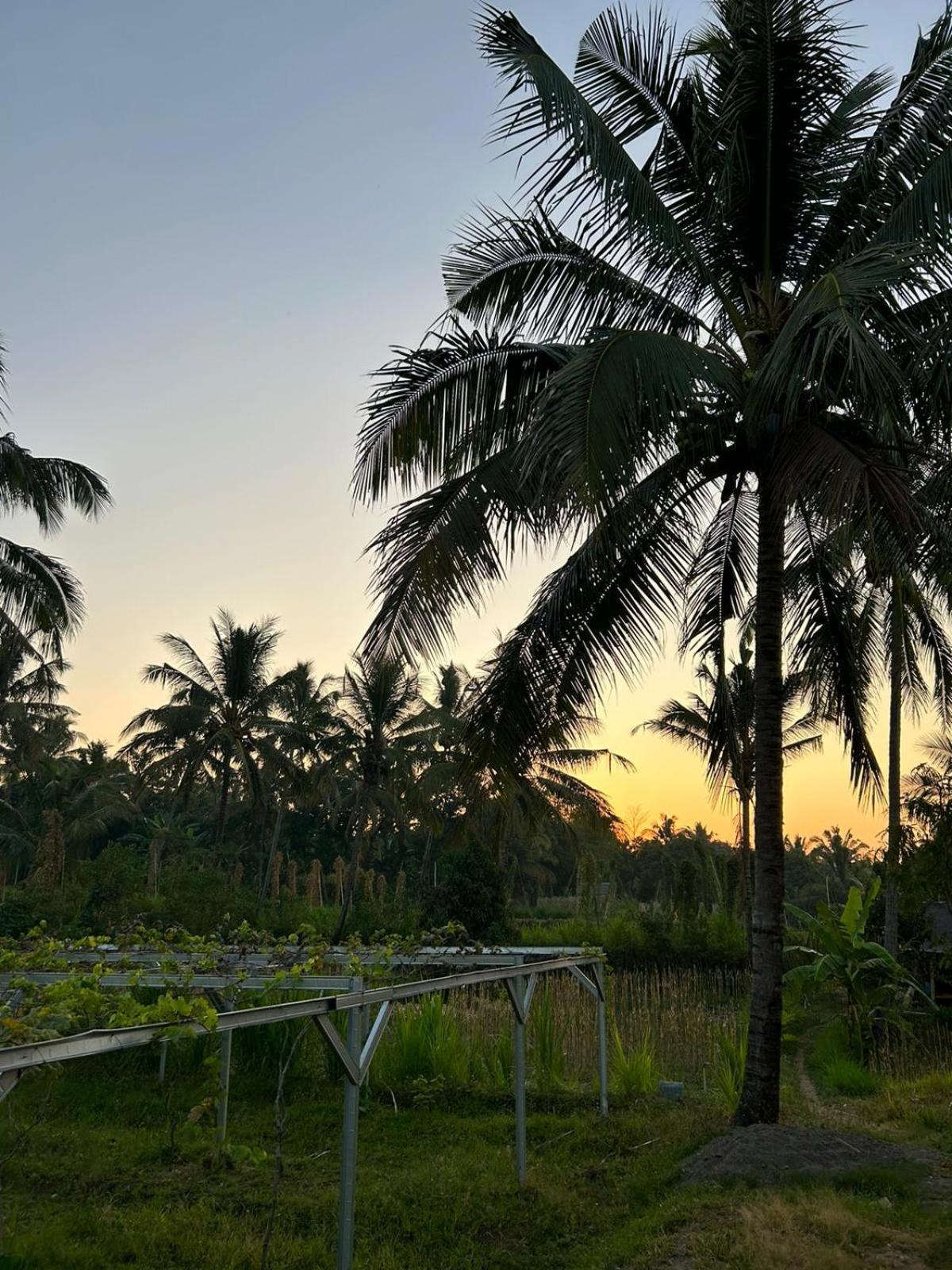 Rinjani Eco Villa Senaru Bayan Exterior foto